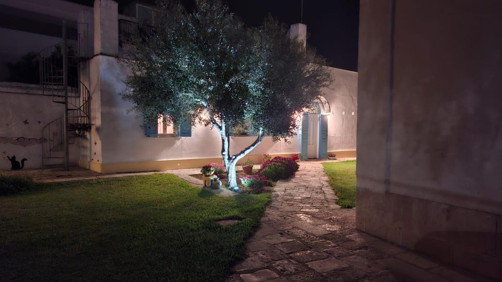 Bed and Breakfast Villino Tronchetto Bianco Mola di Bari Exterior foto
